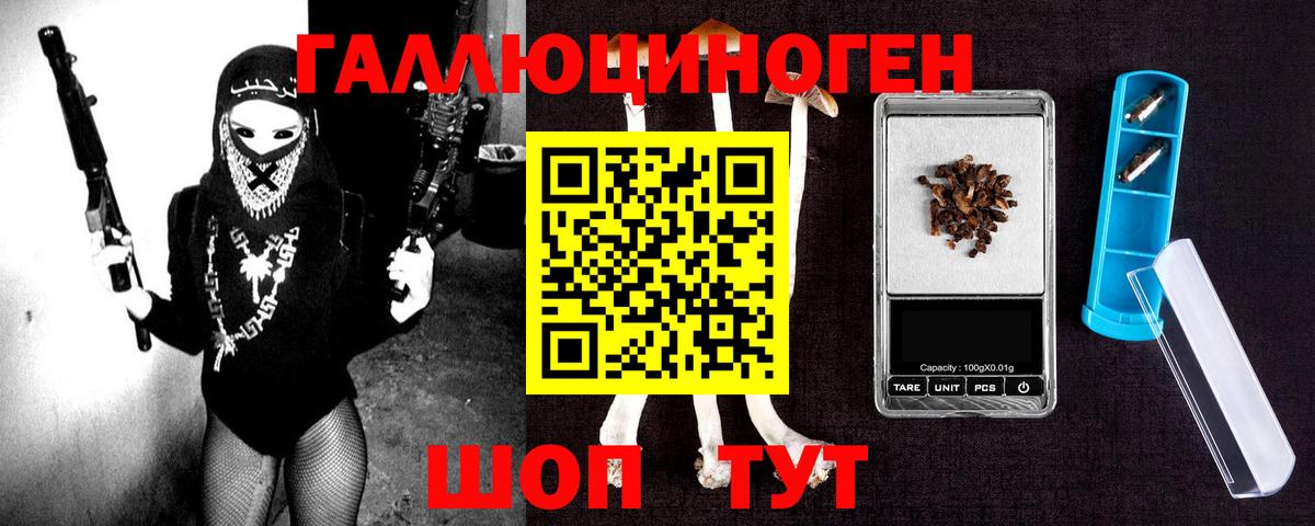 Псилоцибиновые грибы мицелий  Вход с VPN  Россия  Галлюциногенные грибы Psilocybe 