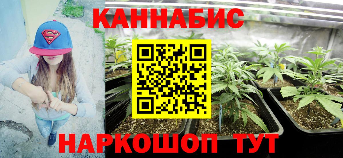 Россия  Бошки марихуана гибрид  Бошки Шишки ГИДРОПОН  Вход с VPN  Бошки Шишки LSD WEED 